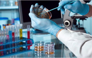 Tips to Choose Microorganisms for Education Purpose