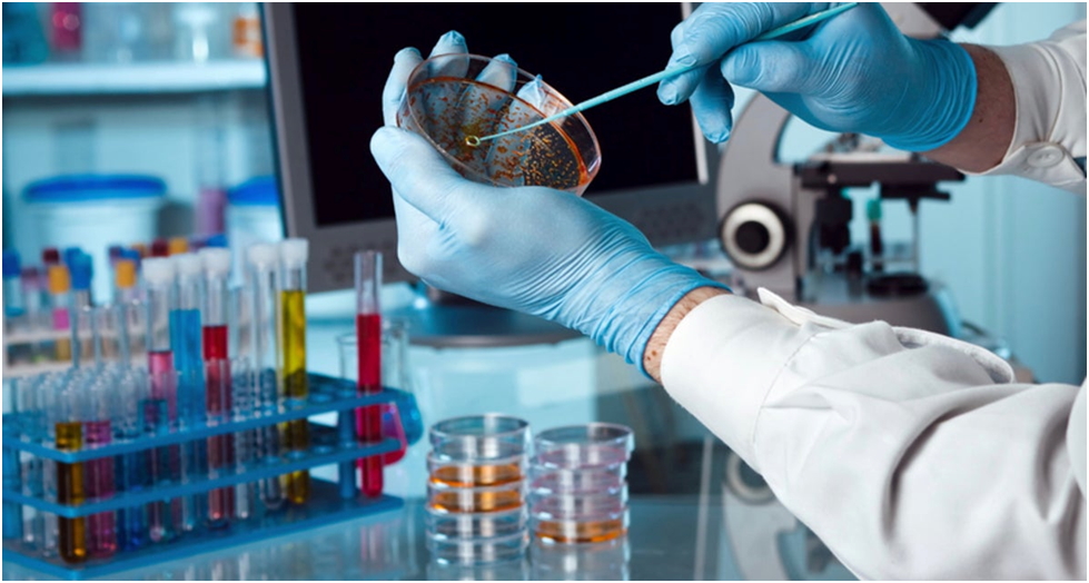 Tips to Choose Microorganisms for Education Purpose