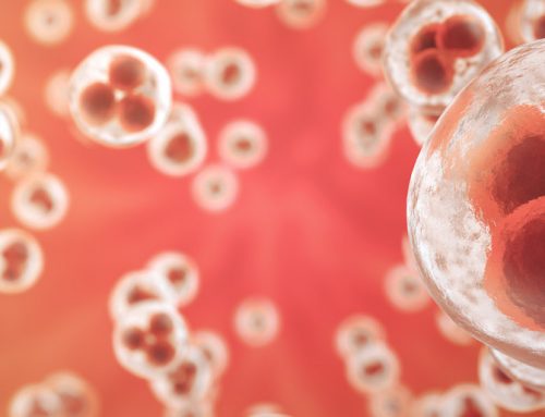 PRP: Cellular as well as Molecular Components