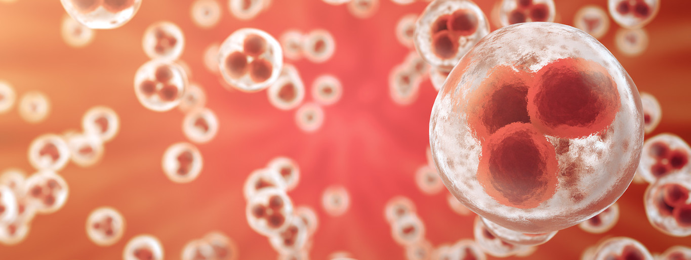 PRP: Cellular as well as Molecular Components